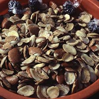 Irvingia Gabonensis Seeds