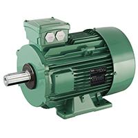 Three Phase Induction Motors
