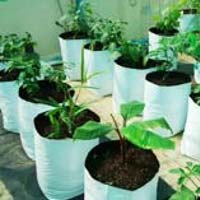 Plant Grow Bags