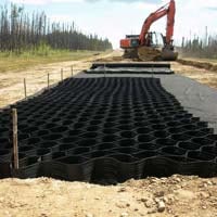 Natural Soil Stabilizer