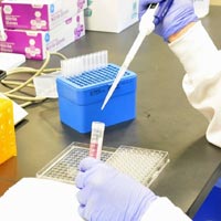 Product Analysis Services