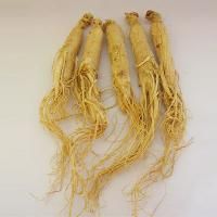 Ginseng Root Extract