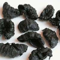 Garcinia Cambogia Dry Extract