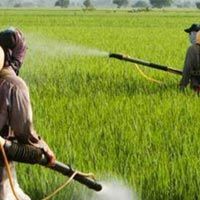 Customised Fertilizer