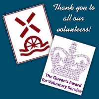 Article Writing Services