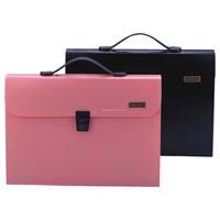 File Bag