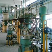 Edible Oil Plant