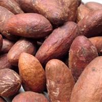 Bitter Kola Nuts
