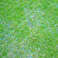 PVC Grass Pavers