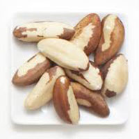 Brazil Nut
