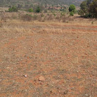 Land Consolidation Services