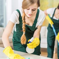 Toilet Cleaning Services