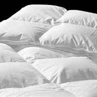 Cotton Duvets