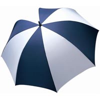 Single Canopy Umbrella