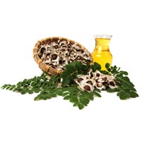 Drumstick Oil