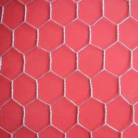 Chicken Wire Mesh