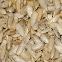 Sunflower Kernel