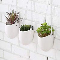 Hanging Pots