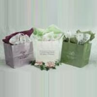 Biodegradable Shopping Bags