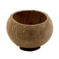Coconut Shell Cups