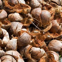 Coconut Waste
