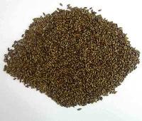 Musli Seeds