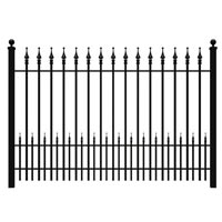 Iron Fence