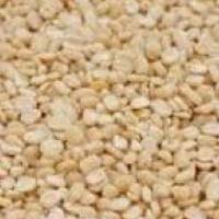 Skinless Urad Dal