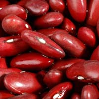 Dark Kidney Beans