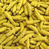 Finger Turmeric