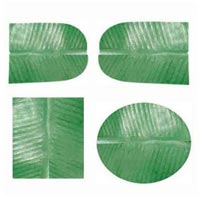 Paper Banana Leaf