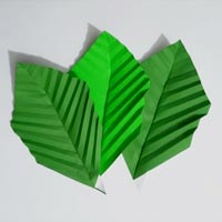 Paper Leaf