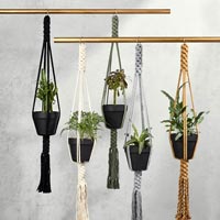 Plant Hanger