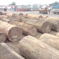Sapele Wood