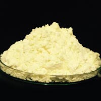 Colostrum Powder