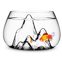 Glass Fish Bowl