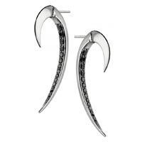 Hook Earrings