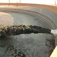 Liquid Manure