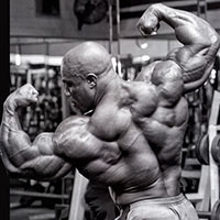 Bodybuilding Supplements