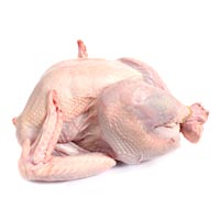 Turkey Meat