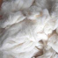 Cotton Comber Waste