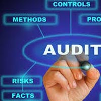 Cyber Security Service