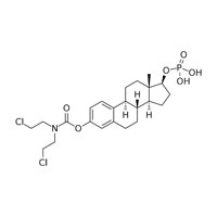 Antineoplastic Agent