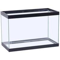 Glass Aquarium