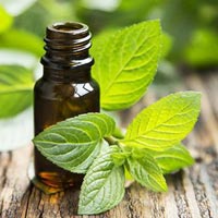 Corn Mint Oil