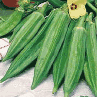 Hybrid Bhindi Seeds
