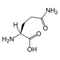 L Glutamine