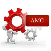 UPS Amc Service