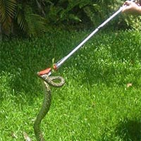 Snake Catcher Sticks & Tongs