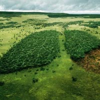 Environmental Awareness